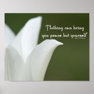 Poster Peace Tulip