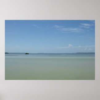 Poster Peaceful Everglades