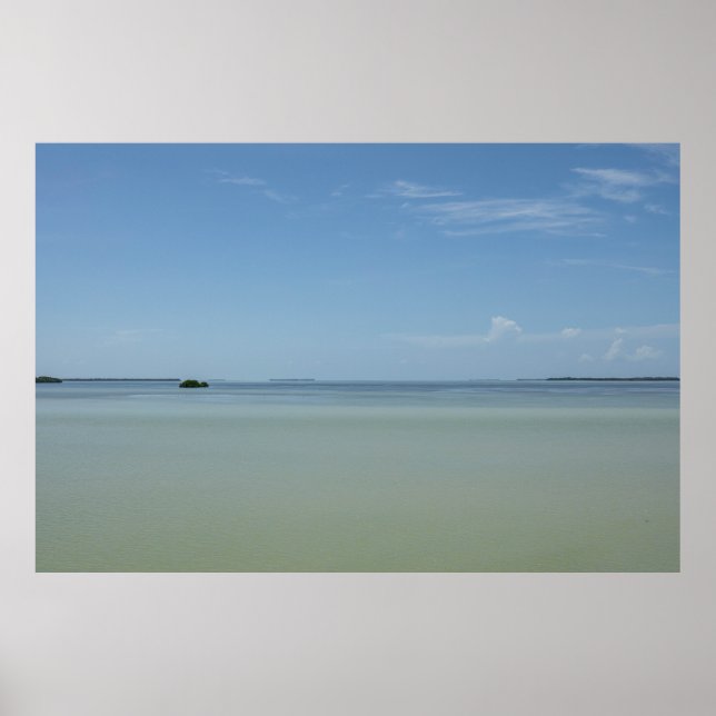 Poster Peaceful Everglades (Frente)