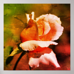 Poster Peach Rosebud Flor Fecha a Arte Distante