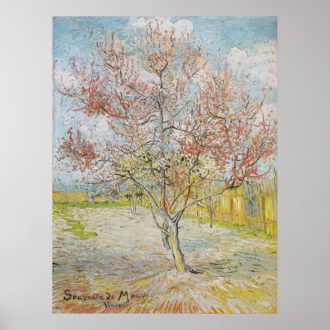 Pôster Peach Tree in Bloom at Arles (Frente)