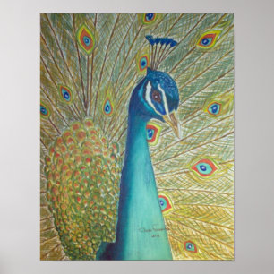 Pôster Peacock