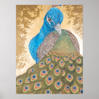 Poster Peacock