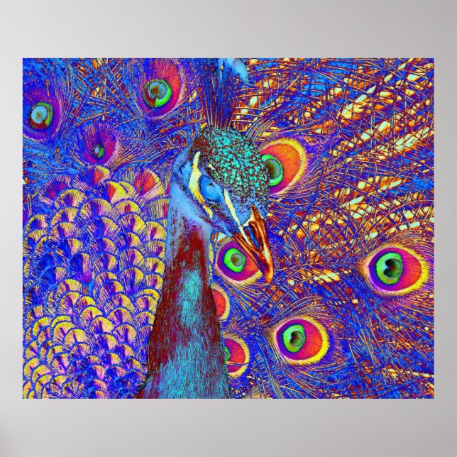 Poster Peacock (Frente)