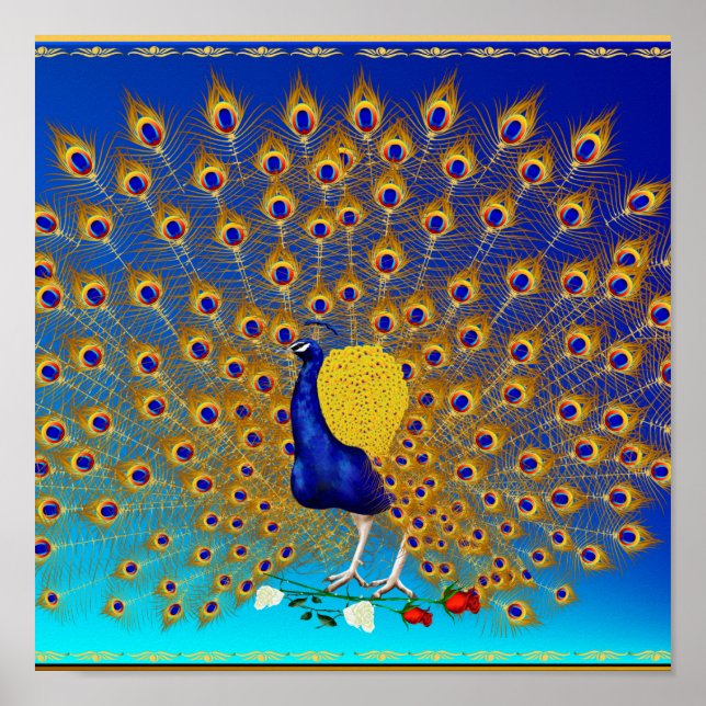 Pôster Peacock e Rosa (Frente)