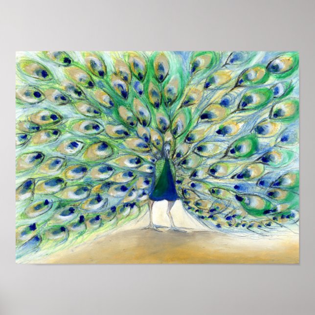 Poster Peacock em San Diego 2013 (Frente)