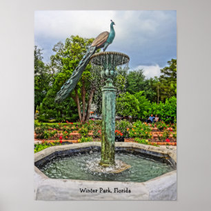 Poster Peacock Fountain & Rosa Garden no Winter Park FL