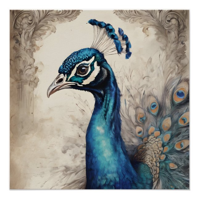 Pôster Peacock n.o 7 Poster brilhante (Frente)