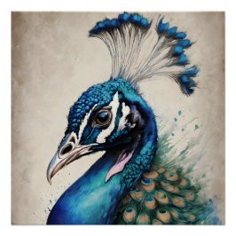 Pôster Peacock no 6 Glossy Poster