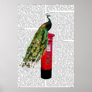 Pôster Peacock on Postbox