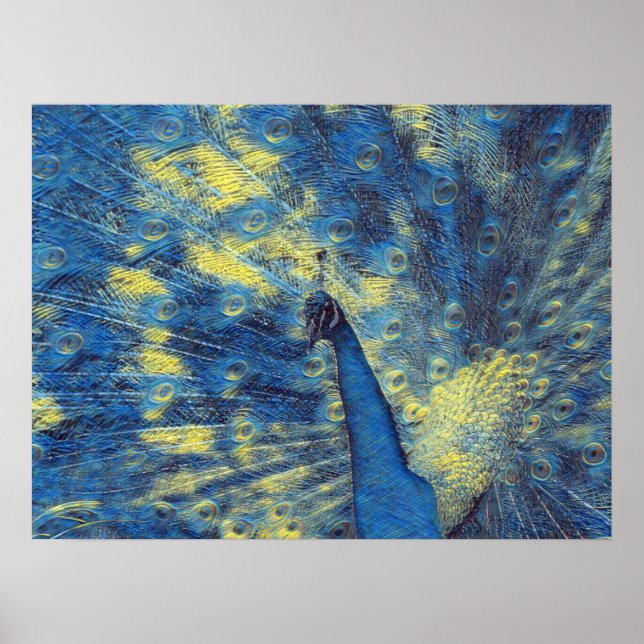 Poster Peacock Trabalho de arte em Van Gogh Starry Night  (Frente)