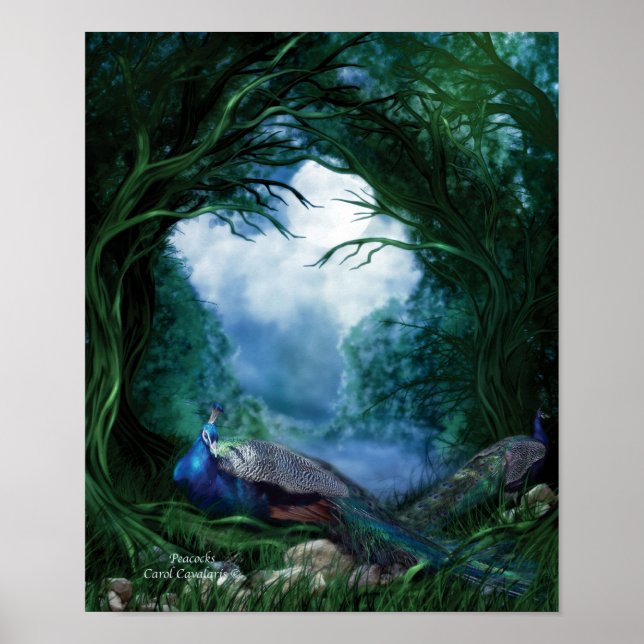 Pôster Peacocks Art Poster/Impressão (Frente)