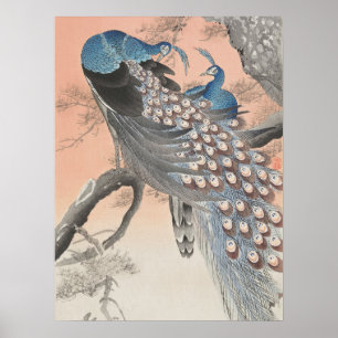 Poster Peacocks Japoneses Na Árvore Por Ohara Koson Art