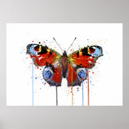 Poster Peacook Butterfly