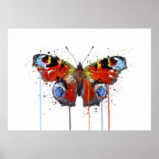 Poster Peacook Butterfly (Frente)
