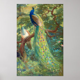 Poster Peafowl indiano   Charles Robert Knight