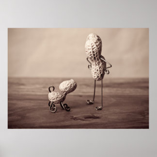 Pôster Peanut Man and Dog