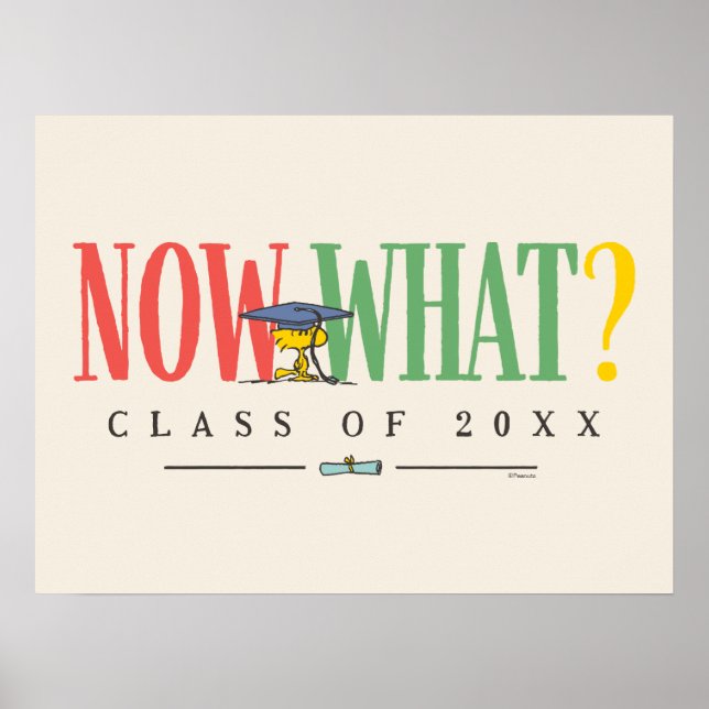 Poster Peanuts Woodstock Now What Graduation Funny Quote (Frente)