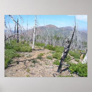Pôster Pearsoll Peak Fire Lookout Kalmiopsis Wilderness