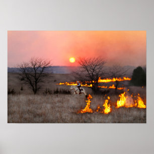 Pôster Pecuarista do Kansas Verifica Linha de Incêndio