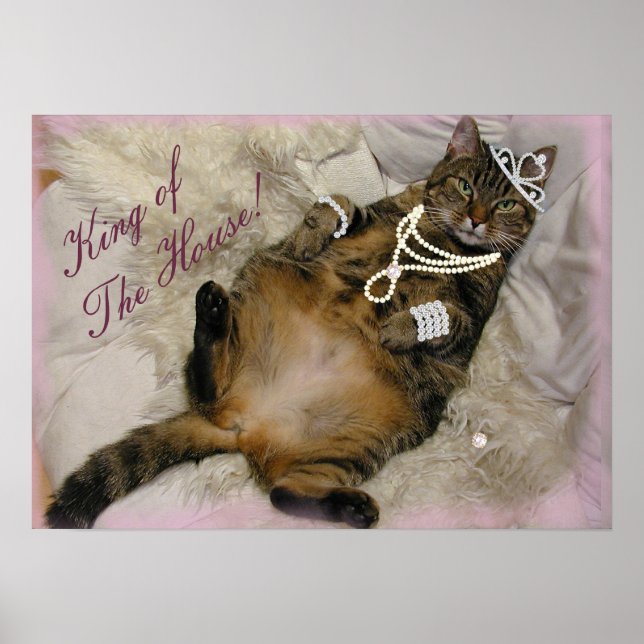 POSTER PEDAÇO DE GATO DE PRINCESA COLHIDO DE VOLTA (Frente)