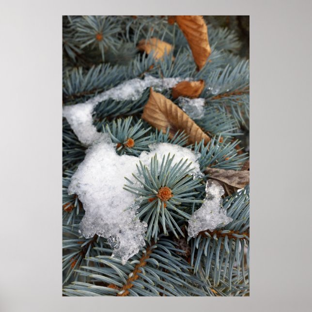 Pôster pedaço de neve (Frente)