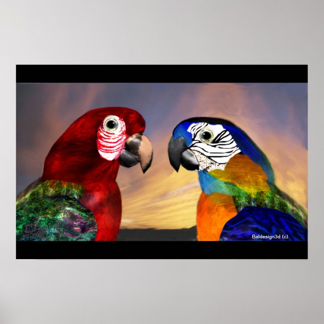 POSTER PEDAÇOS HÍPIDOS / ARA VERMELHA E AZUL (Frente)