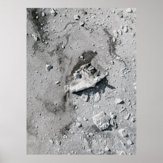 Poster Pedras de cinza na sujeira de cinza