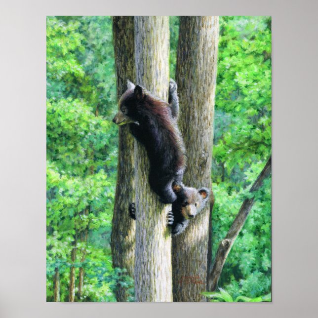 Poster Peek-a-Bear (Frente)