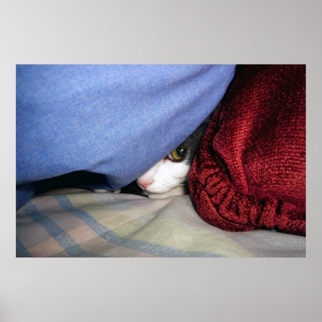 Poster Peek a Boo (Frente)