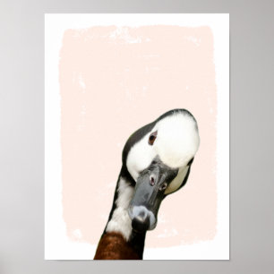 Poster Peek a boo duck nursery wall art