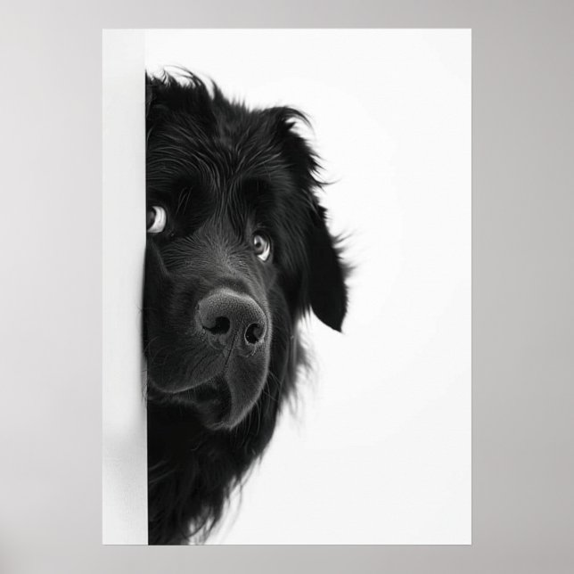 Poster Peek-a-Boo Pup – Funny Dog Photography Print” (Frente)