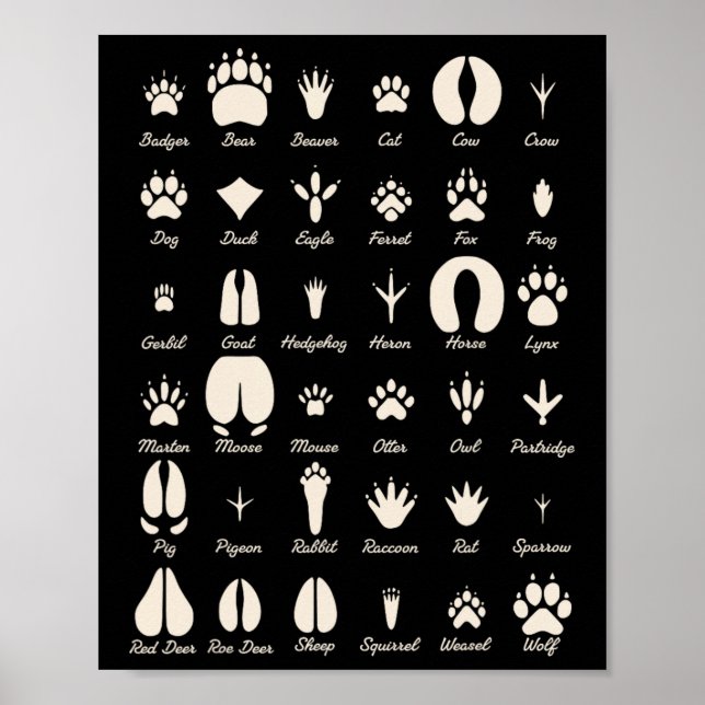 Poster Pegadas de Animais Animais Comuns e Pegadas de Vid (Frente)