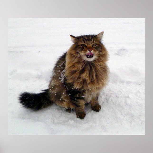 Poster Pegando um floco de neve (Frente)