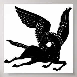 Pôster Pegasus