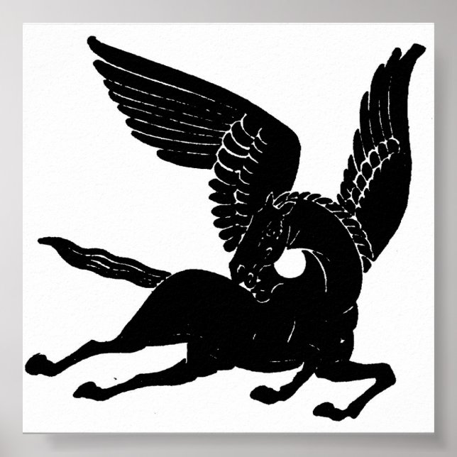 Pôster Pegasus (Frente)