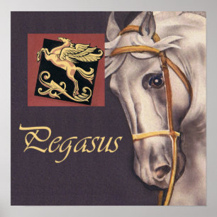Pôster Pegasus