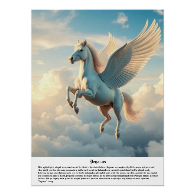 Pôster Pegasus (Frente)