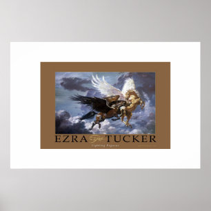 Pôster Pegasus de combate