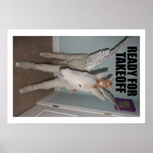 Poster PEGASUS e caçador S. Thomcat