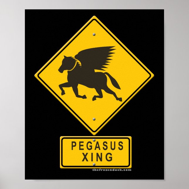 Pôster Pegasus XING (Frente)