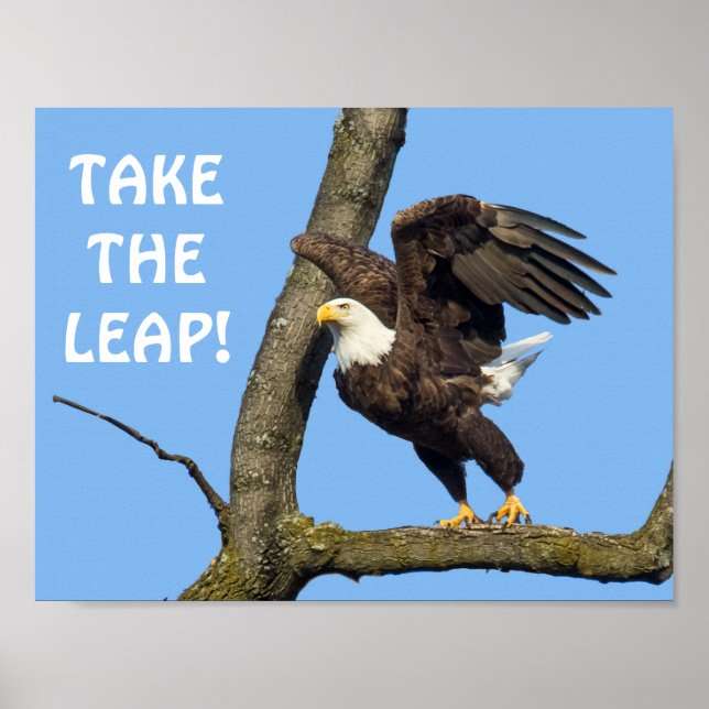 Poster Pegue O Salto! (Frente)