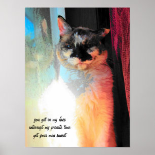 Pôster Pegue seu próprio pôr do sol Haiku