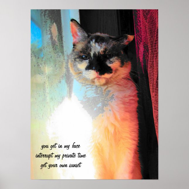 Pôster Pegue seu próprio pôr do sol Haiku (Frente)