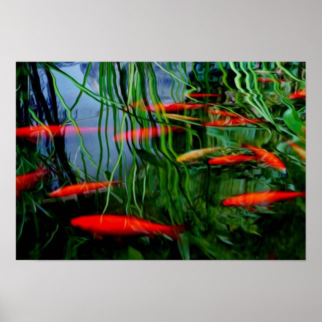 Pôster Peixe (Frente)