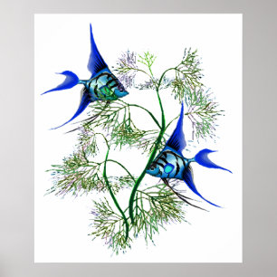 Poster Peixe-Anjo Azul em Plantas