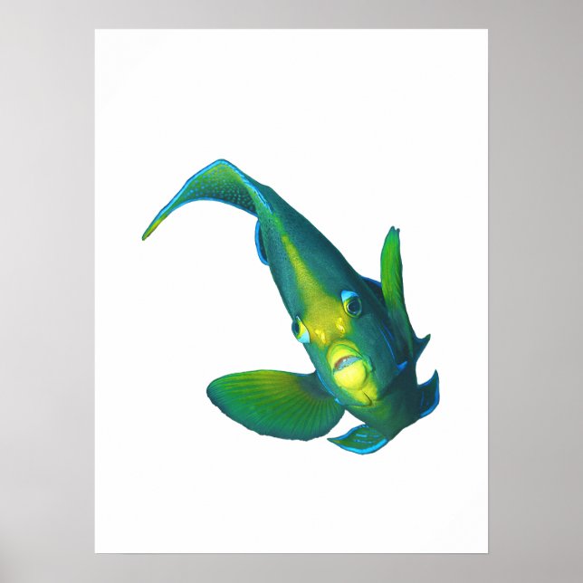 Poster Peixe-anjo - Design Abstrato - Recortado de uma fo (Frente)