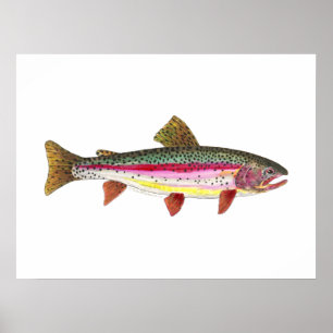 Poster Peixe-Arco-Íris