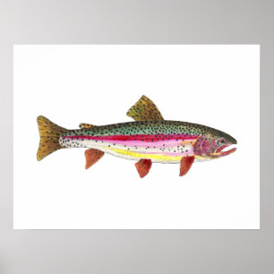 Poster Peixe-Arco-Íris
