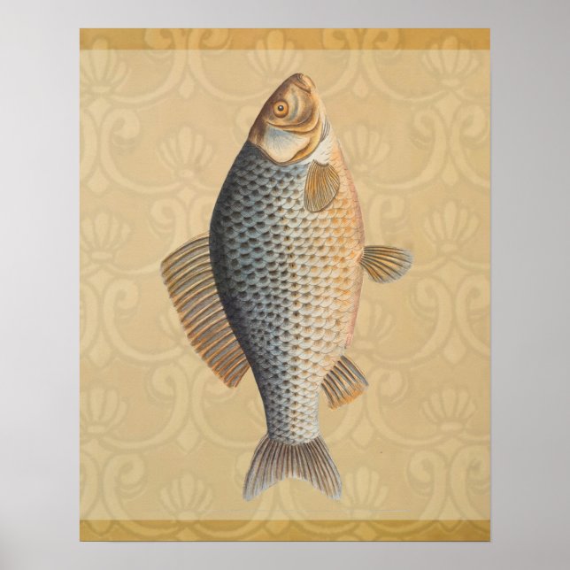 Pôster Peixe+arte+design+pesca+peixes (Frente)
